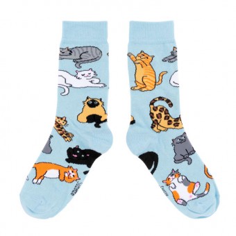 Chats socks, miaou, Coucou...