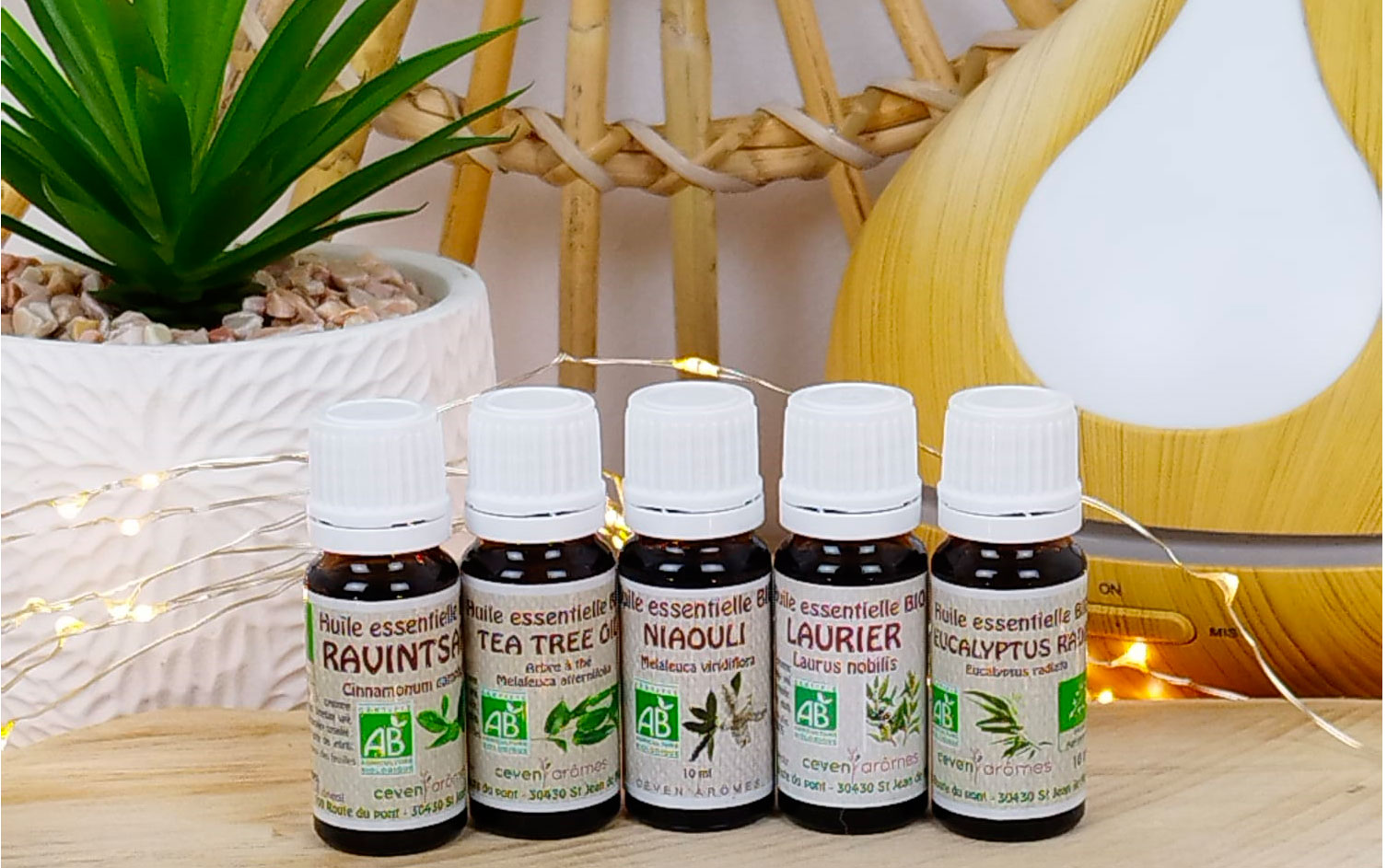 5 huiles essentielles indispensables pour l'hiver